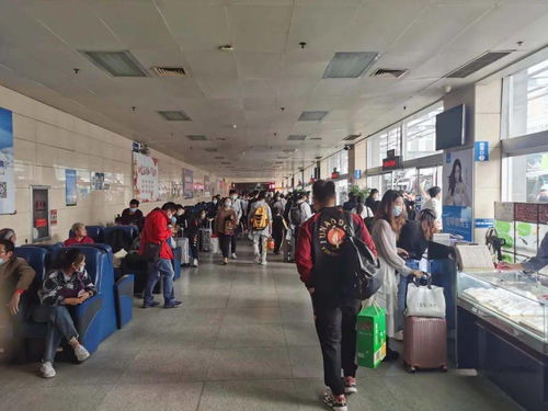 市交通局圓滿完成“雙節”期間運輸服務保障工作，全市運送旅客61.5萬人次