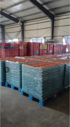 德惠市鴻德商貿(mào) 春節(jié)前后蛋價弱勢分析，3月份有望回暖