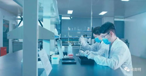 南明這家醫(yī)療企業(yè)不得了,收購(gòu)美國(guó)公司,產(chǎn)品暢銷(xiāo)全國(guó)