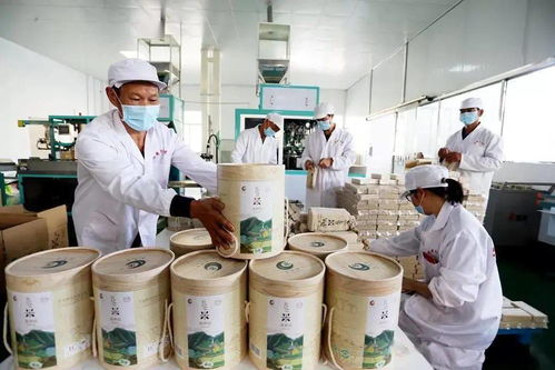 谷香飄萬(wàn)里，增收靠大米 大額資金如何助力產(chǎn)業(yè)騰飛